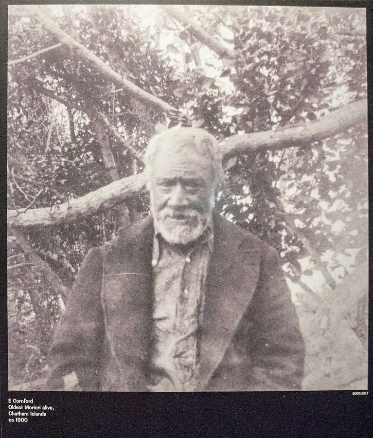 An elderly Moriori man photographed on the Chatham Islands about 1900 by E Cornford; the museum print carries the period caption 'Oldest Moriori alive'.